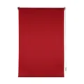 Tageslichtrollo 80 x 150 Rot Marisol freihängend ohne Bohren HTI-Living