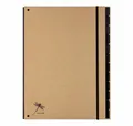 PAGNA Fächermappe Pultordner Pur 44012-11 12Fächer natur