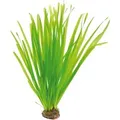 Dennerle Plants Aquariumpflanze Vallisneria Spiralis