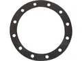 Speicherdichtung Viessmann 7819669 OEM