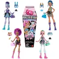 MattelHYV64sort.-MonsterHigh-Buried Secrets-1MysteryPuppe&Zubehör,versch.Modelle