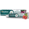 Himalaya Ayurvedische Zahncreme (8901138500306)