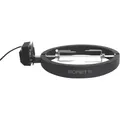 Boretti - BBQ Turning Spit - Rotisserie - Ceramica Kamado - mittel - elektrisch (Bba99) (BBA99)