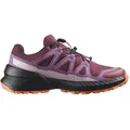 Salomon Damen Speedcross Peak GTX rot 39.3