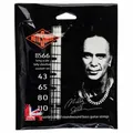 BS66 Billy Sheehan