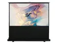 Elite Screens F120NWH ezCinema Series Leinwand (Diagonal 304,8 cm (120 Zoll), Höhe 150,1 cm (59,1 Zoll), Breite 266,7 cm (105 Zoll), Format 16:9) schwarz