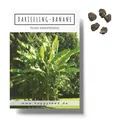 Darjeeling Bananen Samen (Musa sikkimensis) - Winterharte Banane für zu Hause