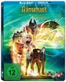 Gänsehaut / Limited Steelbook Edition (Jack Black) Blu-ray / NEU