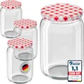 WELLGRO 50x Einmachgläser mit Schraubdeckel - 550ml - Deckel rot kariert To 82 - Made in Germany - Vorratsgläser mit Deckel, Gärglas, Dessertgläser