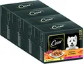 CESAR Adult Hundefutter nass - 4x12x100g Portionsbeutel - mit Huhn & Rind - Hundenassfutter in Gelee – Ausgewogenes Premium Nassfutter für Hunde - 4er Pack