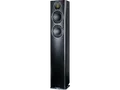 ELAC Carina FS 247 HiFi Lautsprecher (Hochtöner: Nach JET-Prinzip gefalteter Air-Motion-Transformer, Tieftöner: 2 x 150 mm, Aluminium Konus, Schwarz