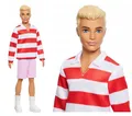 BARBIE DOLL STYLISH KEN FASHIONISTAS #241 HYV01 Mattel