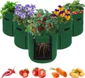Pflanzbeutel 10 Gallonen Potato Growing Bag 5er Pack Gemüse Obst Kartoffel