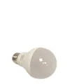 Basics LED Lampe E27 Lichttechnik 14W 100W Ersatz warmweiß dimmbar energiesparen