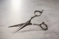 e-kwip+ ASE ASEROCKSTAR 60 Haarschere 6,0 Zoll 0537