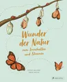 Wunder der Natur zum Innehalten und Staunen Rachel Williams