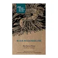 Blaue Passionsblume (Passiflora caerulea) - ca. 10 Samen