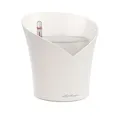 Lechuza orchidea all-in-one Blumentopf 1 L Weiß mit Wasserspeicher