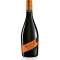 Mionetto Prosecco Frizzante Treviso DOC 0,75 Liter