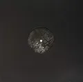 The Trees Are Drawing Me Near (Mix) [Vinyl LP]