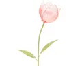 Kaemingk Gartenstecker Gartenstecker Tulpe aus Glas und Metall für Blumenbeete und