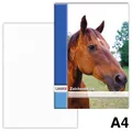 LANDR Zeichenblock DIN A4, 100 g/qm, 20 Blatt, perforiert