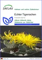 SAFLAX - Samen - Echter Tigerrachen - 40 Samen