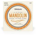 D’Addario EJ67 - Mandoline Nickel Plated Steel | 011-039 - Saiten Zupfinstrument
