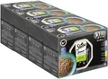 Schale Multipack Sauce Collection Feine Vielfalt MSC 4x12x85g