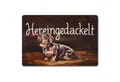 speecheese Fußmatte Hereingedackelt Fußmatte in 40x60 cm ohne Rand mit Dackel