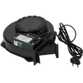 Sportime Lüfter-Set "Ice Arena" 613757101